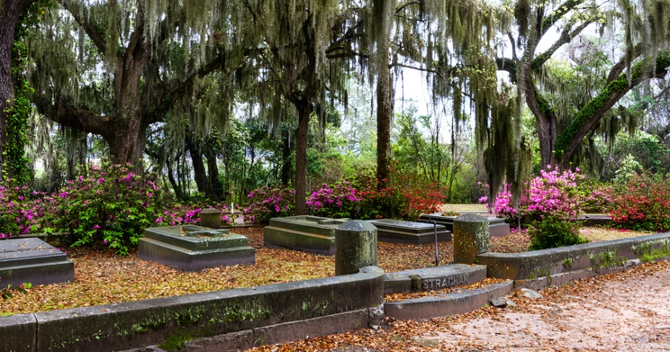 Top Landmarks and Historic Sites to Visit in Savannah
