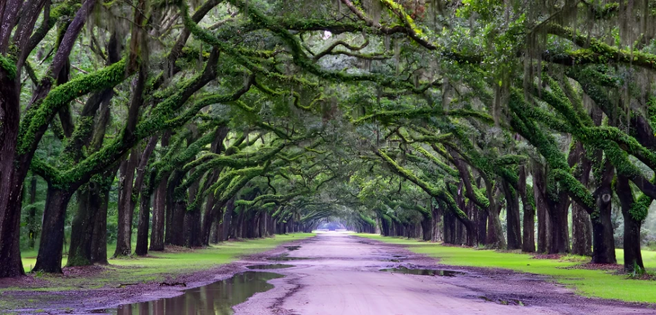 Top Landmarks and Historic Sites to Visit in Savannah
